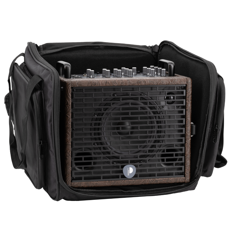 Prodipe Traveler 6 Autonomous Guitar-Instrument Combo